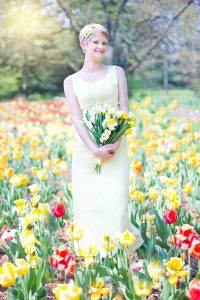 field-of-tulips-635266_1280